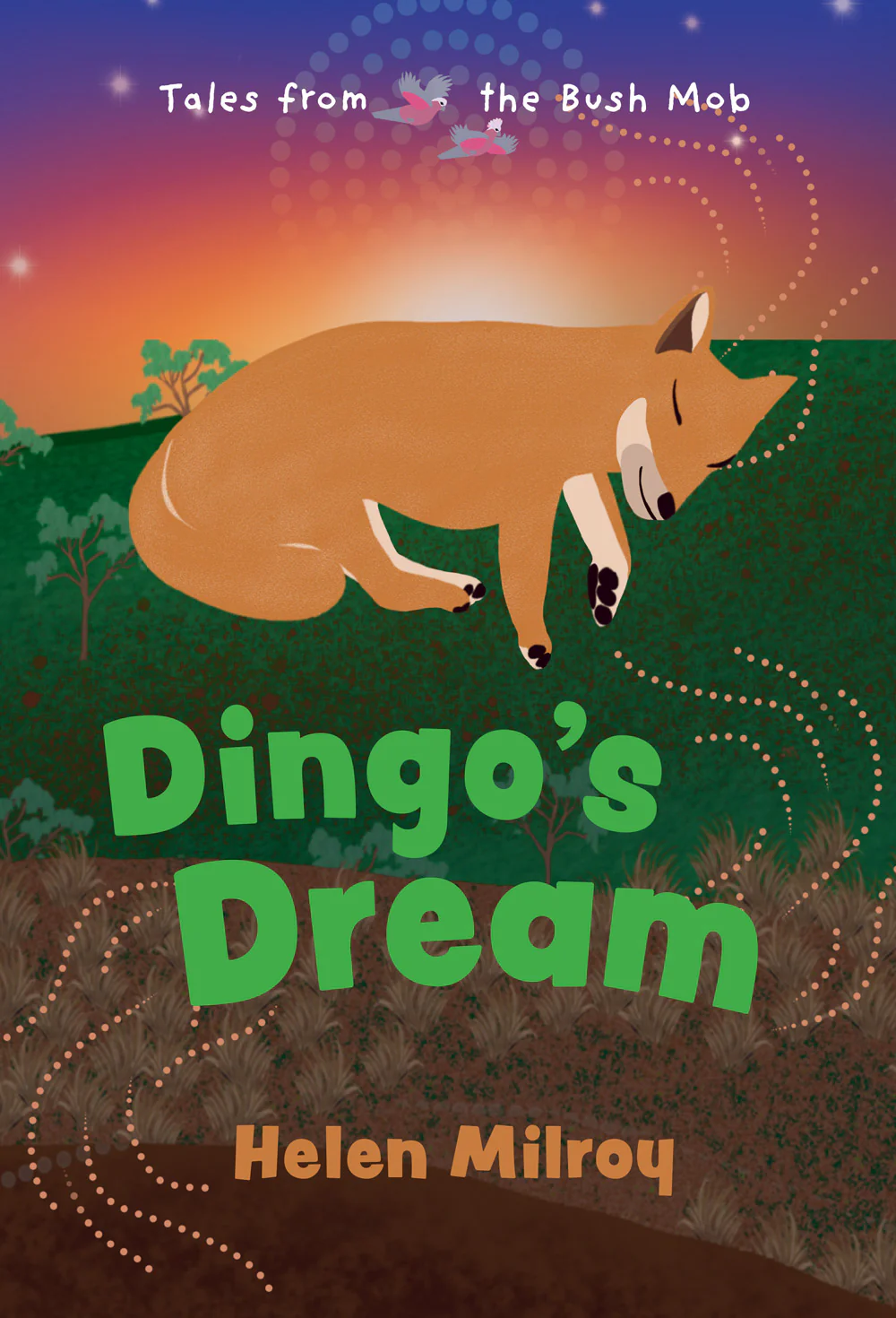 dingo-dream