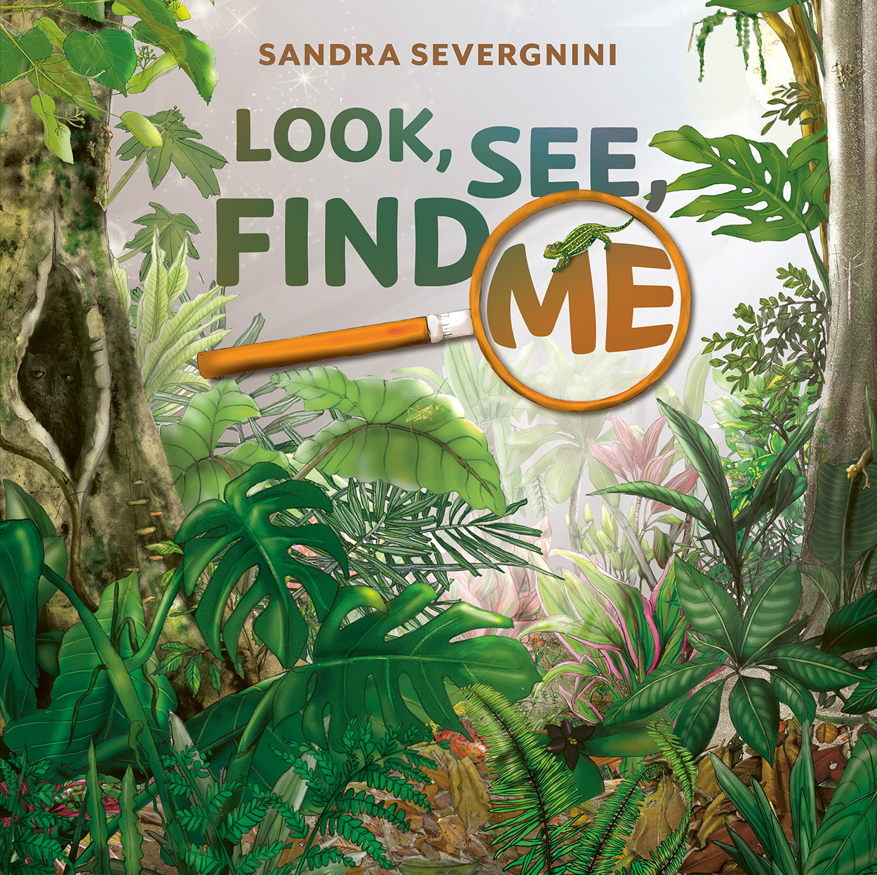 look-see-find